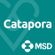 ic.-Catapora-MSD